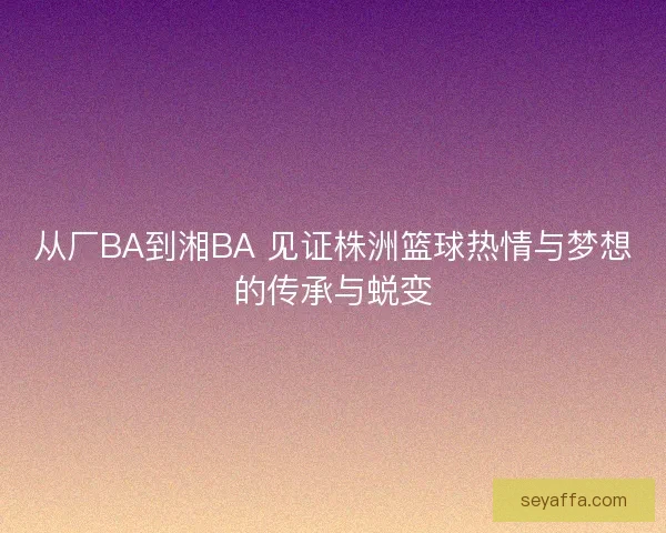从厂BA到湘BA 见证株洲篮球热情与梦想的传承与蜕变