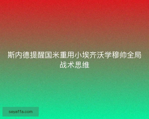 斯内德提醒国米重用小埃齐沃学穆帅全局战术思维